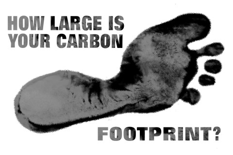 Carbon Footprint Graphic